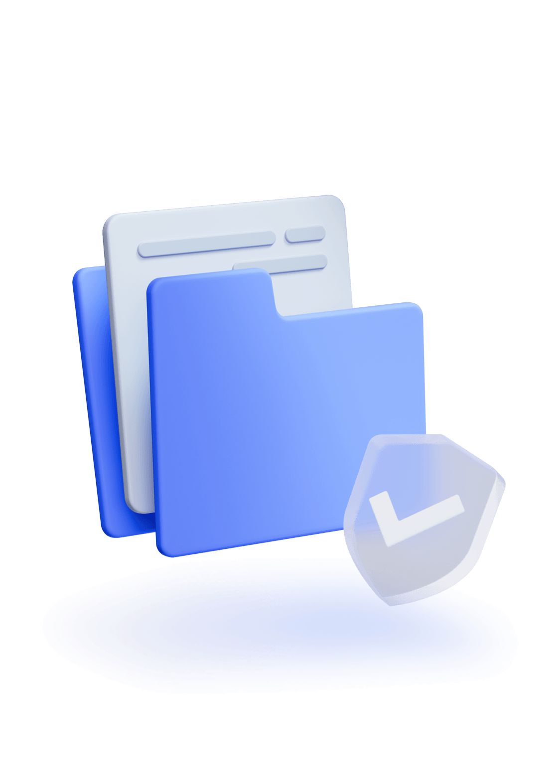 Customizable reverification report data